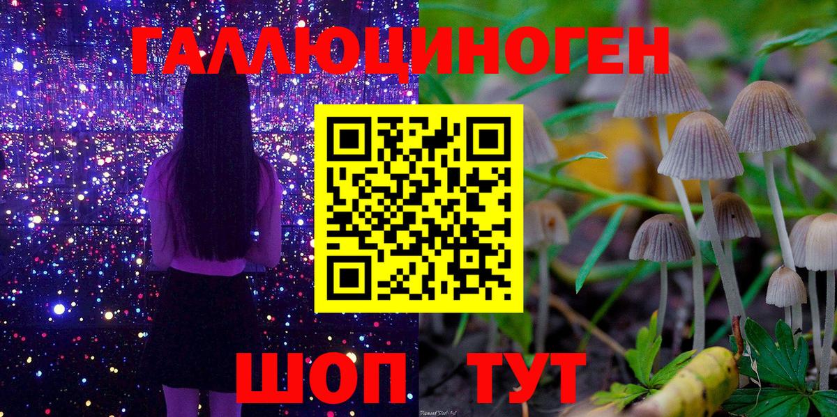 Псилоцибиновые грибы Cubensis  Вход с VPN  Нурлат 